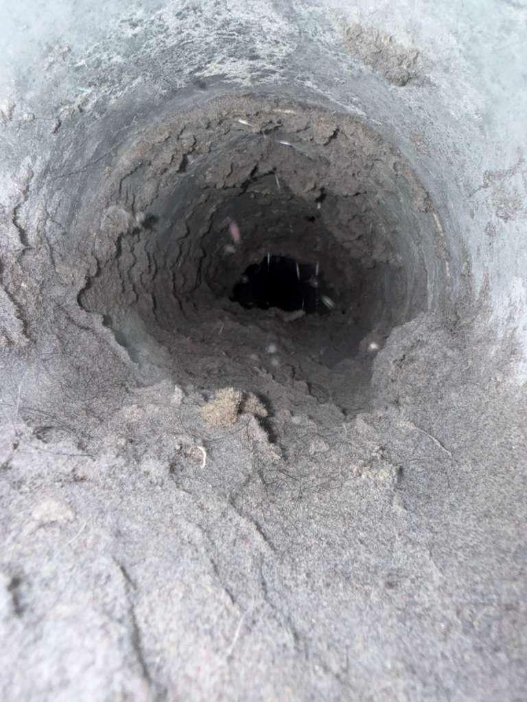 clogged dryer vent full of lint before professional dryer vent cleaning