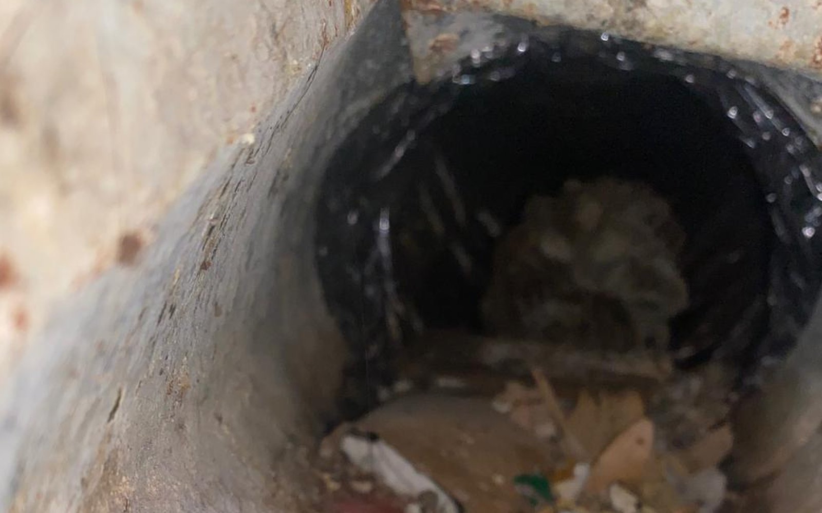 California dryer vent exterior termination clogged with debris and lint buildup before professional cleaning by California Airduct Pros — common cause of California home dryer fires